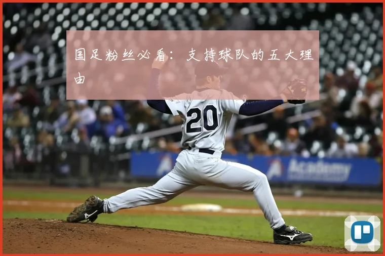 国足粉丝必看：支持球队的五大理由